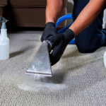 Professional Carpet Cleaning Services